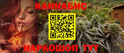 МДПВ Обь
