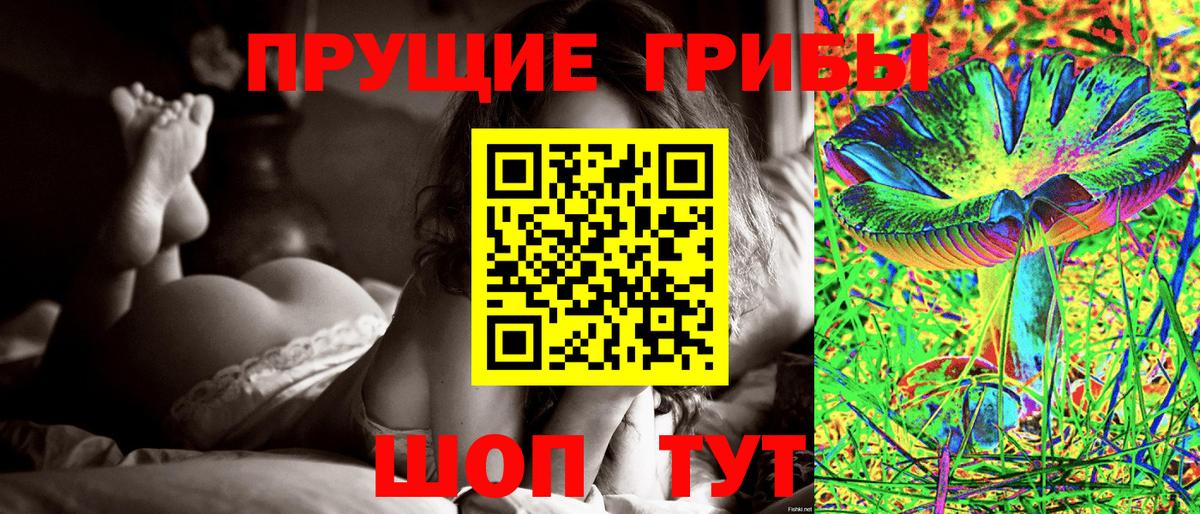 Родники  Псилоцибиновые грибы Psilocybe  Вход с VPN  Псилоцибиновые грибы GOLDEN TEACHER 