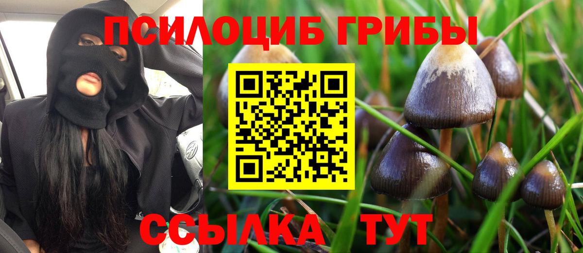 Галлюциногенные грибы Magic Shrooms Родники
